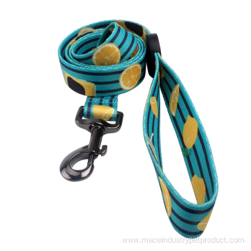 High quality personalized Polyester Padded Pet Leash